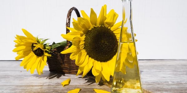 buy sunflower oil online