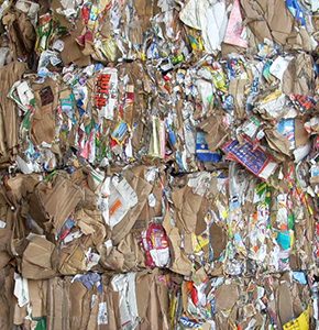 Waste Paper Dealers