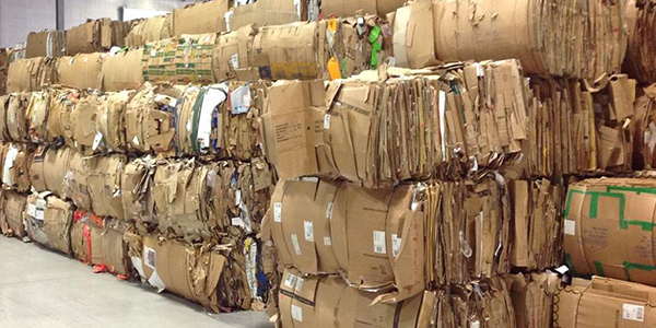 Waste Paper Suppliers