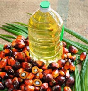 buy palm oil online