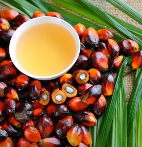 supplier of Palm Oil