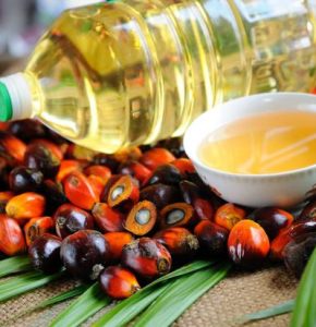 exporter and supplier of Palm Oil