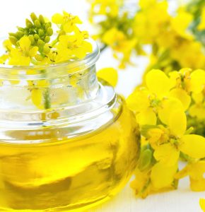 rapeseed oil exporters