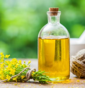 rapeseed oil suppliers